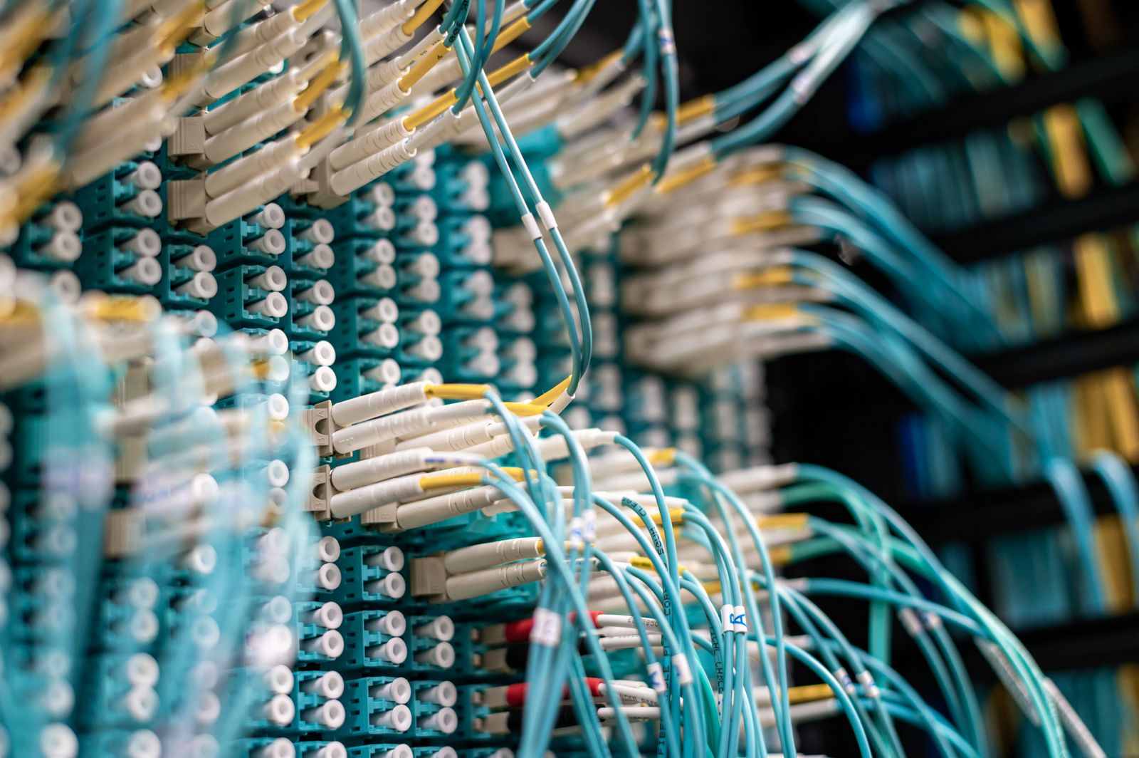 network equipment cables